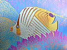 Titanium Tropical Fish Print detail